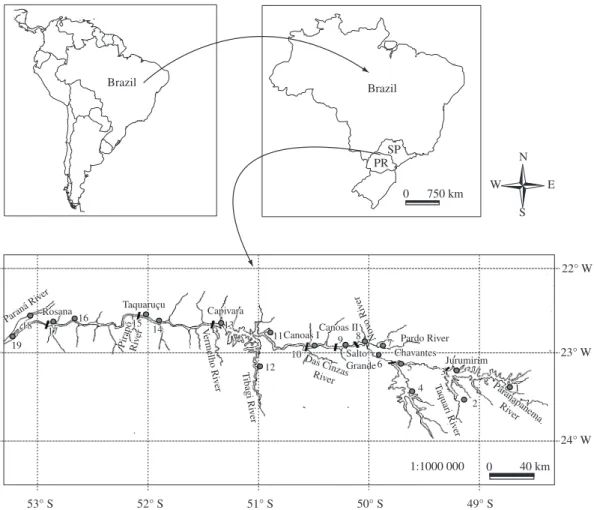 Figure 1. Geographical position of the Paranapanema River and location of the sampling stations.
