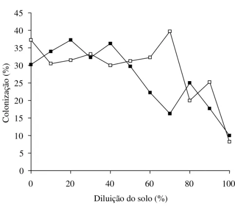 Figura 1. Efeito da diluição do solo de área de cerrado preservado ( ) e área reflores- reflores-tada ( ), na colonização micorrízica de raízes de Guazuma ulmifolia, aos 120 dias após o transplante.
