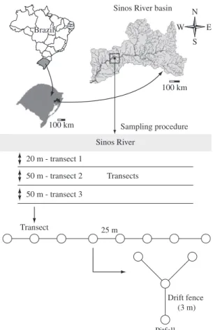 Figure 1. Position of the Sinos River basin in the south of  Brazil, showing the sampling procedure
