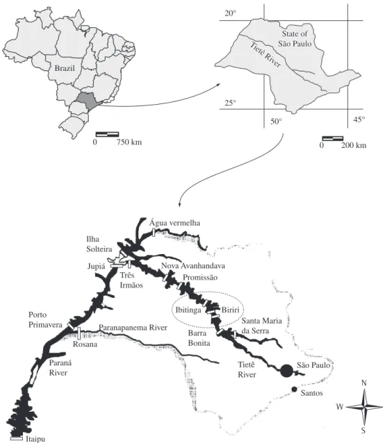 Figure 1. Location of studied reservoirs: UHE Ibitinga and UHE Bariri, Tietê River, São Paulo State, Brazil