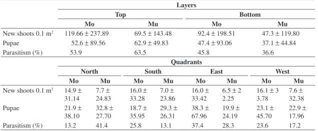 Table 1. Average number and standard deviation of new shoots in 0.1 m 2  of the plant canopy; average number and standard  deviation of Phyllocnistis citrella pupae and parasitism rates recorded in strata and quadrants of the canopy of Montenegrina  trees,