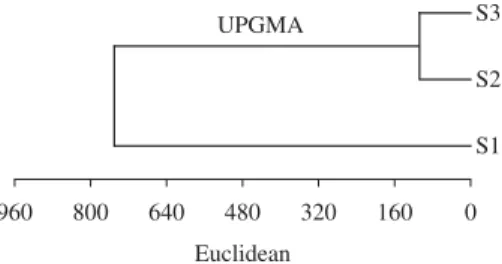 Figure 8 shows the presence of indicator species of  alpha-mesosaprobic and polysaprobic environments at  Stations 2 and 3 and the occurrence of an indicator  spe-cies of an oligosaprobic environment only at Station 1