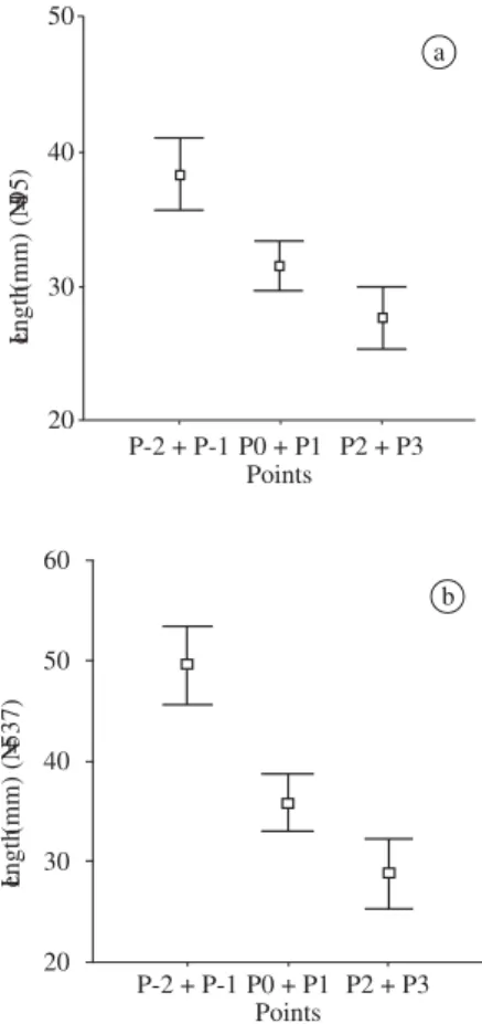 Figure 7. Vertical distribution of M. mactroides, by size, ac- ac-cording to grouped points