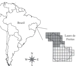 Figure 1. The 1,000 x 1,000 m grid covering the surface of  Lauro de Freitas. Every Grid pixel is identified according to  its use as urban area (dark gray) or forest area (light gray).