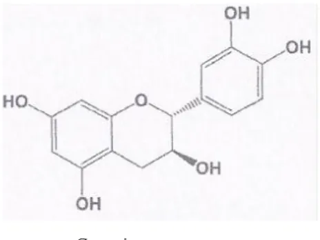 Fig. 1.3 - Principais compostos fenólicos que participam nas reações de acastanhamento em vinhos brancos  (Adaptado de Sioumis et al., 2005)