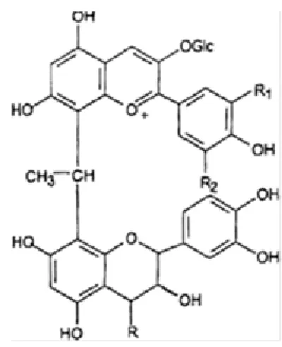 Fig.  1.5  -  Estrutura  química  dos  pigmentos  derivados  da  condensação  entre  antocianinas  e  flavonóides  (R- (R-unidade flavonóide) mediada pelo acetaldeído (Adaptado de Atanasova et al., 2002)
