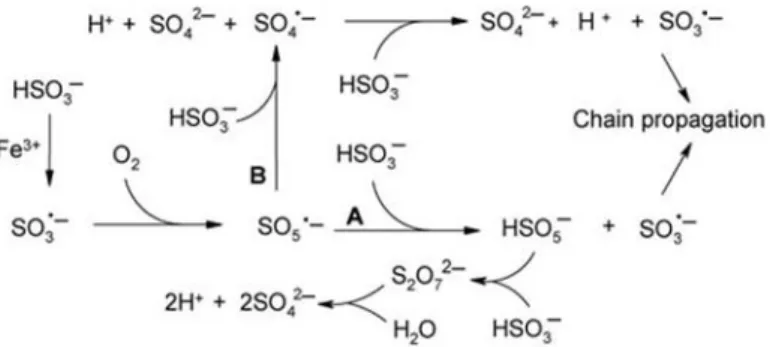 Fig. 1.6  -  Interação do dióxido de enxofre com o oxigénio (Adaptado de Danilewicz et al.,2008)