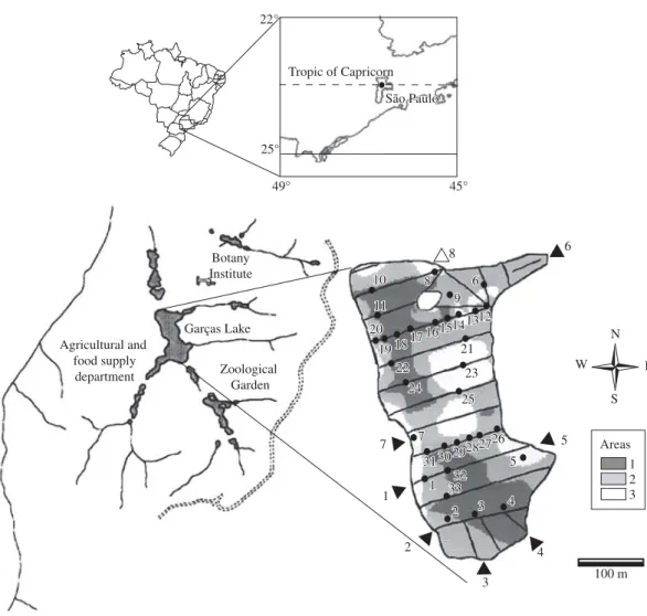 Figure 1. Lake Garças in the Fontes do Ipiranga State Park (São Paulo, Brazil). At the right site: the three different areas  (areas 1, 2 and 3) in the bottom of Lake Garças (description see the text); internal to the lake, the sampling sites (1-33) and  e