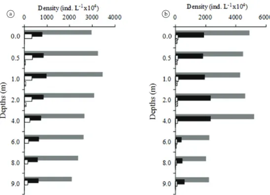 Figure 2.  Vertical variation of phytoplankton classes in the Mundaú reservoir, state of Pernambuco, Brazil, in the (a) dry  and (b) rainy season
