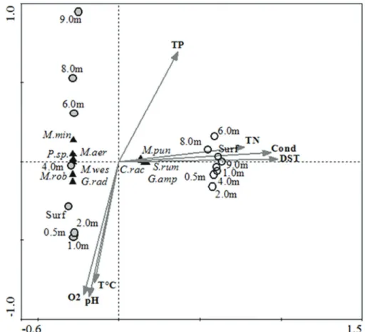 Figure 4. CCA ordination diagram of the sample units in the Mundaú reservoir, state of Pernambuco, Brazil, showing  the correlation between phytoplanktonic species and abiotic variables
