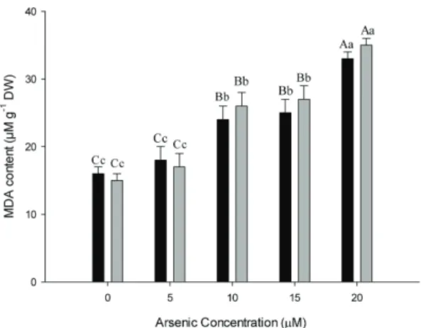 Figure 3.  Concentration  of  chla  (chlorophyll  a),  chb  (chlorophyll  b),  total  chlorophyll  and  carotenoids  in  P