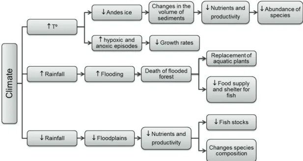Figure 2. Graphic scheme of the possible impacts of climate change on the floodplains environment and its biota.