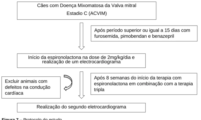 Figura 7 – Protocolo do estudo. 