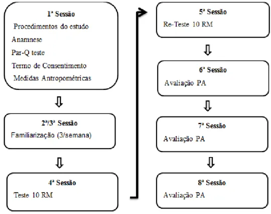 Figura 1- Procedimentos 