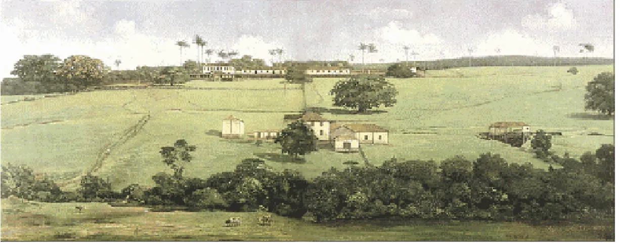 Figura 03: Fazenda Pinhal, Benedito Calixto, 1900 
