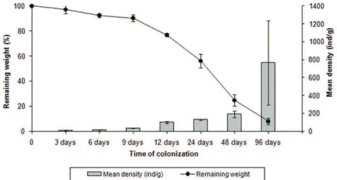 Figure 1. Percentage of remaining weight (mean ± SD) and mean invertebrate density during decomposition of the leaf litter  in a first-order stream in the Poço D’Anta Municipal Biological Reserve, Juiz de Fora - MG, Brazil.