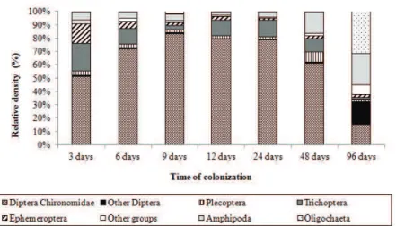 Figure 3. Functional feeding groups (%) of aquatic invertebrates during decomposition of leaf litter in a first-order stream in  the Poço D’Anta Municipal Biological Reserve, Juiz de Fora - MG, Brazil.