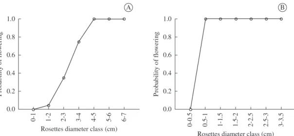 Figure 2.  A) Probability of flower heads production as a function of rosette diameter in L