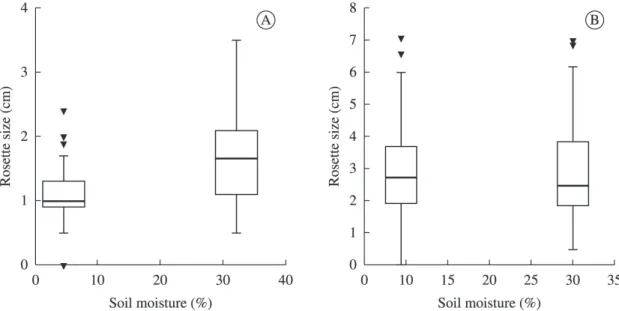 Figure 4.  Body sizes during the high and low soil moisture seasons. A) L. vivipara body sizes differences between the dry  and moist seasons