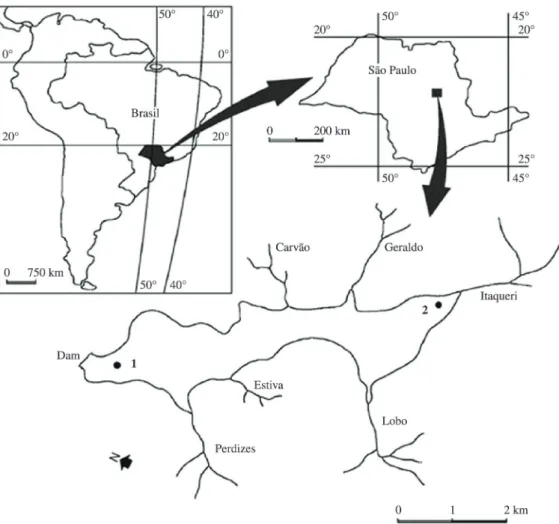 Figure 1. Location of the Lobo Reservoir and its main tributaries with the indication of the two sampling points (Modified  from  Tundisi et al., 2004 ).