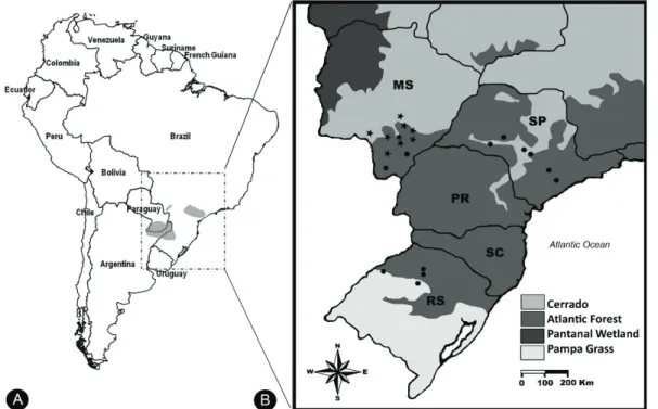 Figure 1.  (A) Known geographical distribution of H. caingua in South America (modified from  Scott et al