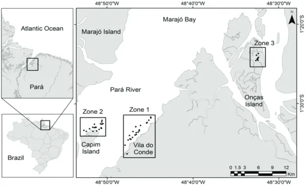 Figure 1. Study area in the estuary of Pará River (Amazon estuary) with the sampling points within the each zone