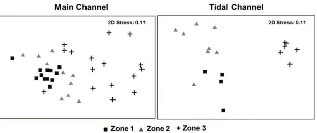 Figure 4. Multivariate multidimensional scaling analysis by Zone and environment (Main channel and Tidal channel).
