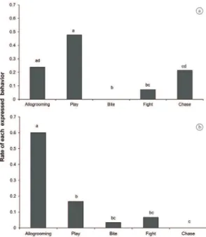 Figure 2. Rate of performance of each behaviour category. 