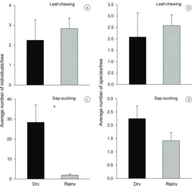 Figure 2.  Average (a) abundance and (b) species richness of leaf-chewing insects; (c) abundance and (d) species richness of  sap-sucking insects on Goniorrhachis marginata in dry and rainy seasons in a seasonally dry tropical forest, Brazil (n=24)