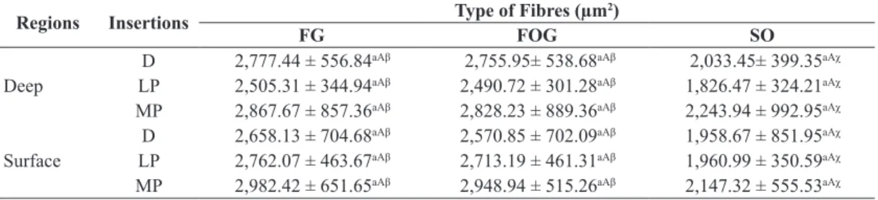 Table 3. Mean and standard deviation of the area (μm 2 ) of the different types of fibres found in the different regions of the  biceps brachii muscle of the capuchin monkey.