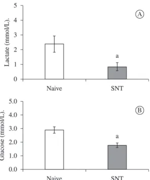 Figure 3.  Blood  lactate  (A)  and  glucose  (B)  in  naive  and transected frogs. Lactate and glucose levels were  determined as indicated under Materials and Methods