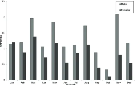 Figure 2. Number of males and females  Sturnira lilium captured monthly between 1989 and 2011 in the state of Rio de  Janeiro