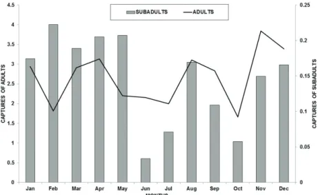 Figure 3. Capture of adults and subadults of Sturnira lilium captured monthly from 1989 to 2011 in the state of Rio de  Janeiro