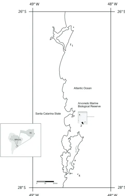 Figure 1. Sampling sites of the D. granulatum on the Santa Catarina coast. 1, Tamboretes Archipelago (TB); 2, Arvoredo  Island (AR); 3, Matadeiro’s beach (MT); 4, Moleques do Sul Archipelago (MS).