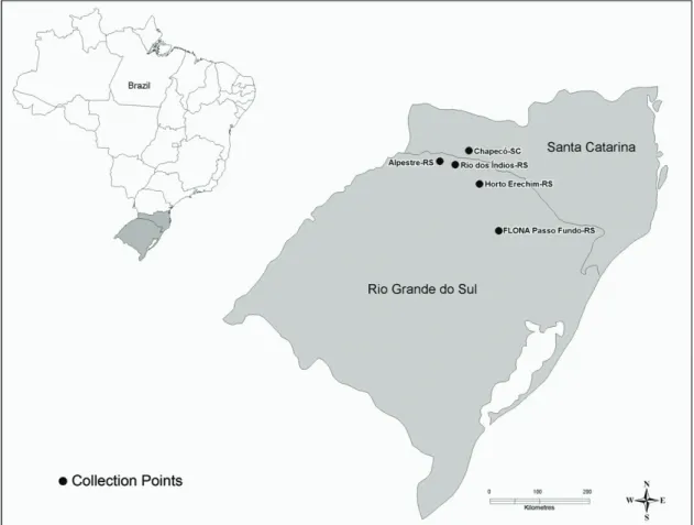 Figure 1. Geographical location of the collecting process (Passo Fundo, Erechim, Rio dos Índios and Alpestre at RS and  Chapecó at SC).