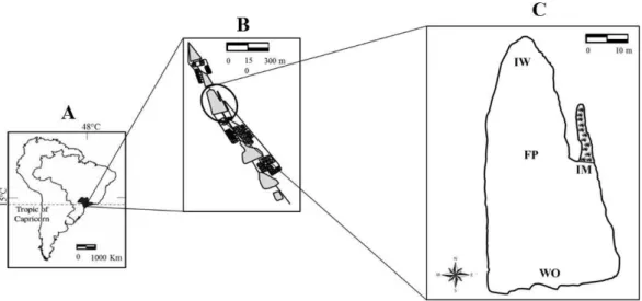 Figure 1. Cross‑section of the fish pond studied, where: IM and IW = water inlets; FP = deeper water site; WO = water  outlet