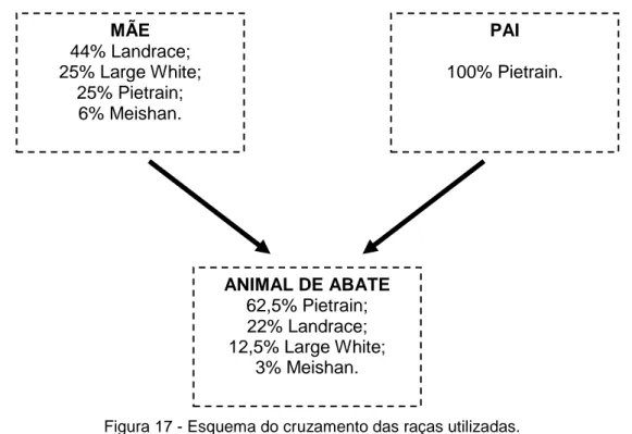 Figura 18 - Descarga dos animais da experiência (Foto própria, 2014) 