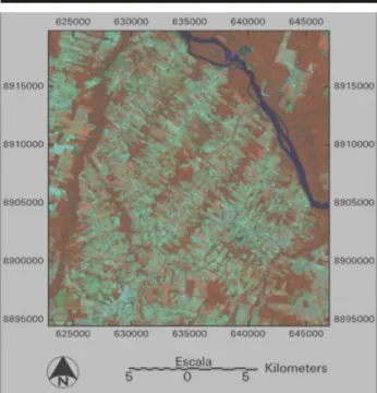 Figure 1. Example of fish-bone pattern of deforestation in the Brazilian  Amazon (Alta Floresta region, MT)