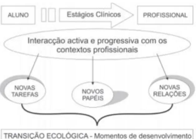 Figura 1: Transição Ecológica 