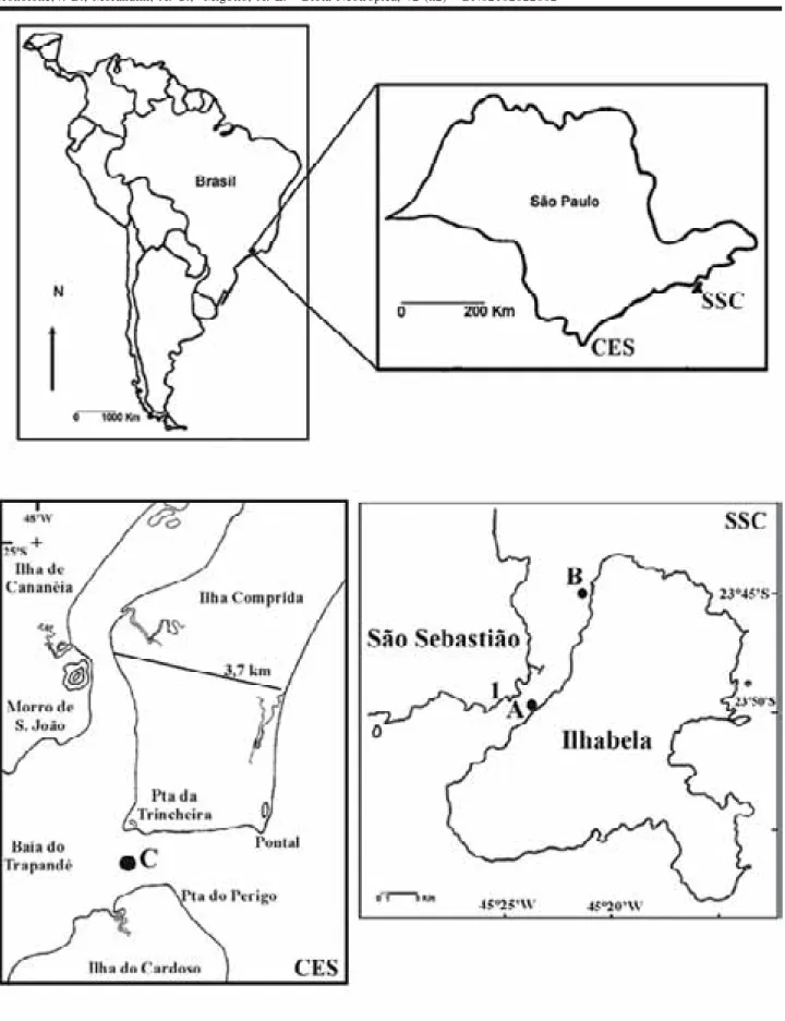 Figure 1. Map showing the collecting areas: CES = Cananéia lagoon estuarine system; SSC = São Sebastião Channel; 1= Centro de Biologia Marinha laboratory (CEBIMar-USP); A= collection of Chrysaora lactea (23º49.89S-045º25.36W); B= collection of Pelagia (23º