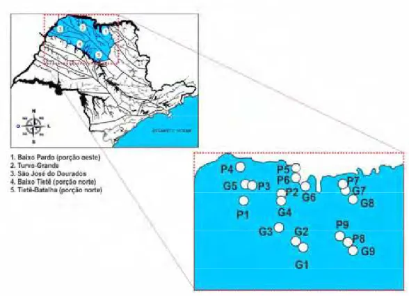 Figura 1. Localização dos dezoito fragmentos florestais amostrados na região noroeste do  Estado de São Paulo