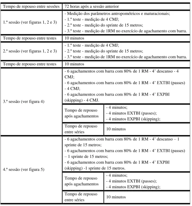 Tabela 2 – Programa das sessões de estudo 