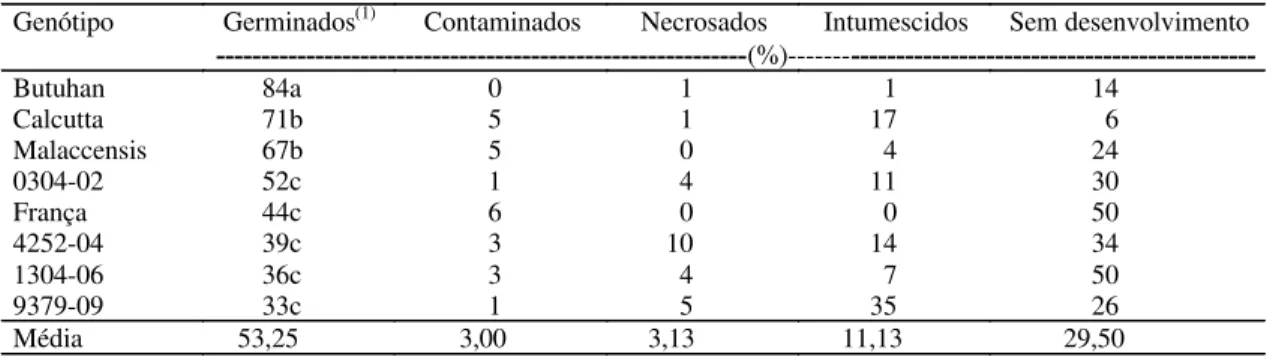 Tabela 1.  Comportamento in vitro de embriões provenientes de sementes com endosperma normal e reduzido de genótipos diplóides de bananeira