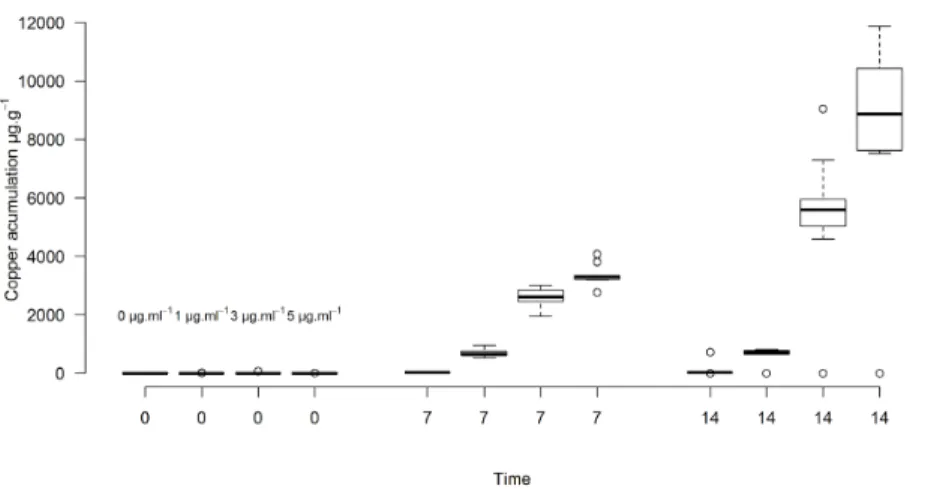 Figure 1. Accumulation of copper in the  S. biloba  biomass over 14 days of the experiment according to the analysis carried  out at 0, 7 and 14 days with concentrations of 0, 1, 3 and 5 µg mL -1  of copper.