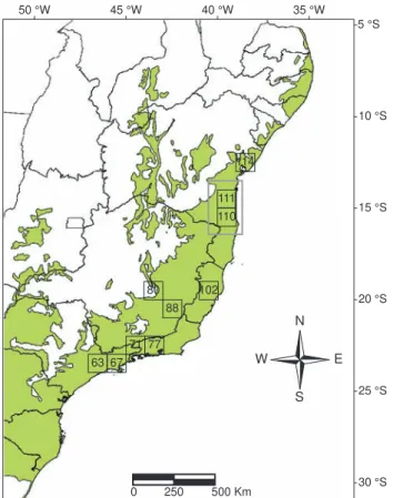 Figura  4. Parte  informativa  do  cladograma  de  consenso  estrito  obtido  na  PAE empregando quadrículas de 1 x 1 graus (lat/long) na Mata Atlântica