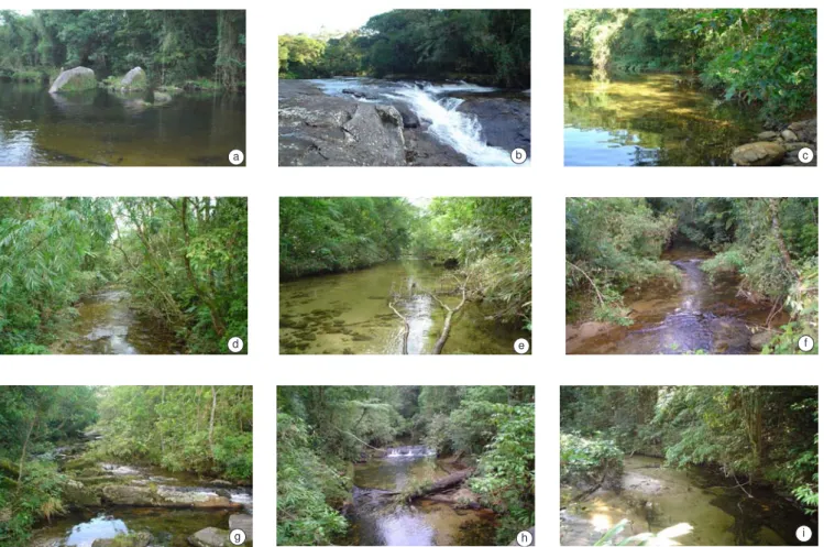Figure 2. Sampled sites in the Rio Itatinga watershed, Parque das Neblinas. a) rio Itatinga (23° 44’ S and 46° 09’ W); b) rio Itatinga (23° 44’ S and 46° 09’ W); 