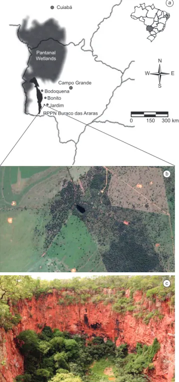 Figure 1. a) Location of the Buraco das Araras doline in Mato Grosso do  Sul, Brazil, with the Serra da Bodoquena mountain indicated in black; b) the  Buraco das Araras reserve surrounded by pastures; and c) note the vegetation  and a small lake inside (ph