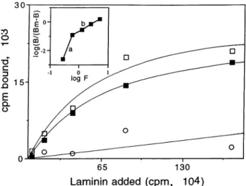 FIG. 1. Binding of 1251I-labeled yeast forms of P. brasiliensis (P.b.) to MDCK cell monolayers