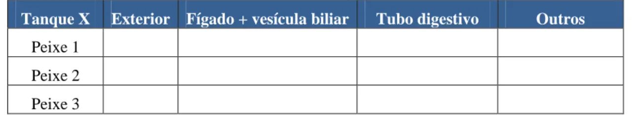 Tabela 1 – Tabela para auxílio na avaliação anatomopatológica macroscópica. 