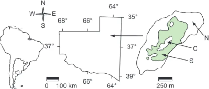 Figure 1. Map and sketch of El Guanaco wetland, showing their geographical  ubication in La Pampa province, central Argentina and the sampling sites